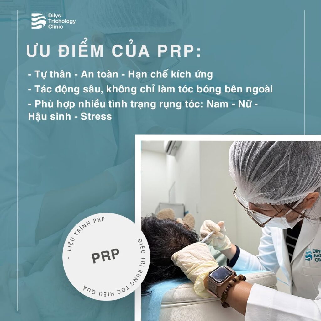 uu-diem-cua-phuong-phap-cay-tinh-chat-prp-tai-dilys